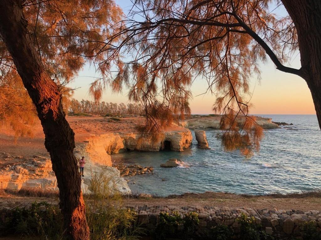 Cozy Apartment In Paphos Beautiful Complex מראה חיצוני תמונה